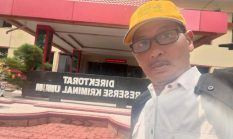 DLH Medan Jangan Omon Omon, Aktifis Lingkungan Minta Pembuktian Ribuan Pengganti Pohon Yang Di Tanam Akibat Proyek BRT