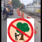 Proyek BRT di Jalan Sisingamangaraja yang membuat kemacetan dan mengorbankan Pohon sebagai paru paru dunia di Kota Medan (Dok-Foto)