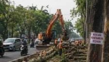 Ambisi Proyek BRT, Korbankan 2700 Pohon Di Kota Medan, Hilangkan Fungsi Ekologis, Di Duga Pidana Lingkungan Langgar UU RTH (Dok-Foto)