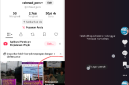 Ada Apa? Tiktok Blokir Video Milik Ketua AWAS Namun Tak Bisa Blokir Live Streaming Pornografi Hingga Di Tangkap Polisi (Dok-Foto)