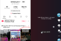 Ada Apa? Tiktok Blokir Video Milik Ketua AWAS Namun Tak Bisa Blokir Live Streaming Pornografi Hingga Di Tangkap Polisi (Dok-Foto)