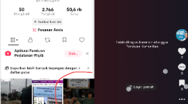 Ada Apa? Tiktok Blokir Video Milik Ketua AWAS Namun Tak Bisa Blokir Live Streaming Pornografi Hingga Di Tangkap Polisi (Dok-Foto)