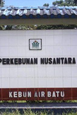 Manajemen PTPN 4 Kebun Air Batu Diduga Melakukan Bloking Informasi Terhadap Wartawan