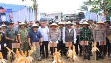 Panen Raya Jagung Serentak Kuartal II Tahun 2026 yang digelar di kawasan PT Uniteda Arkato, ( Dok - Foto ).