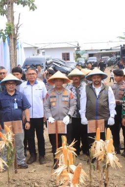 Polda Jabar Panen Raya Jagung di Indramayu, Kapolda Jabar : Ketahanan Pangan Butuh Sinergi Semua Pihak