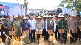 Panen Raya Jagung Serentak Kuartal II Tahun 2026 yang digelar di kawasan PT Uniteda Arkato, ( Dok - Foto ).