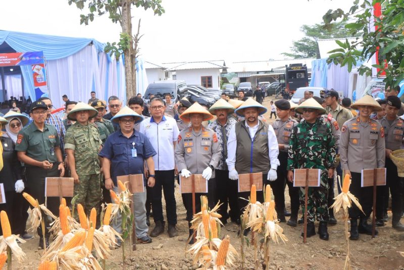 Panen Raya Jagung Serentak Kuartal II Tahun 2026 yang digelar di kawasan PT Uniteda Arkato, ( Dok - Foto ).