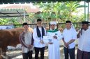 Pemerintah Kota Tanjungbalai Serahkan Bantuan Sapi Qurban Kemasyarakatan Presiden Prabowo Subianto di Masjid As Salamah.  (Dok - Foto)