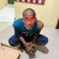 Tersangka yang diamankan adalah BP alias Hutu (36), warga Kelurahan Tapian Nauli II (Dok-Poto)