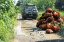 Pasalnya, jalan tersebut merupakan satu-satunya akses untuk mobilitas penjualan hasil pertanian dan perkebunan di wilayah tersebut (Dok-Poto)