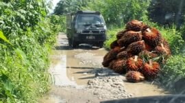 Pasalnya, jalan tersebut merupakan satu-satunya akses untuk mobilitas penjualan hasil pertanian dan perkebunan di wilayah tersebut (Dok-Poto)