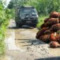 Pasalnya, jalan tersebut merupakan satu-satunya akses untuk mobilitas penjualan hasil pertanian dan perkebunan di wilayah tersebut (Dok-Poto)