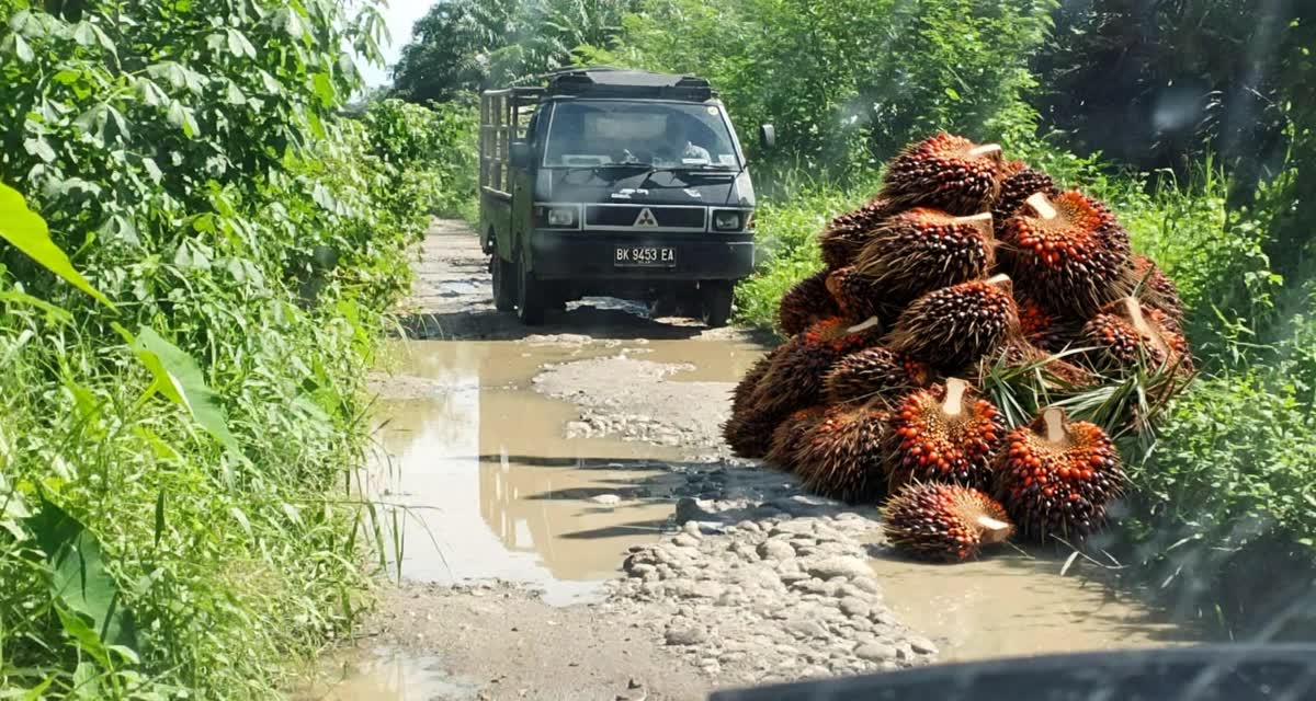 Pasalnya, jalan tersebut merupakan satu-satunya akses untuk mobilitas penjualan hasil pertanian dan perkebunan di wilayah tersebut (Dok-Poto)