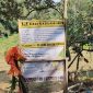 Irigasi Desa Palasari Dikebut, Harapan Baru Petani untuk Tingkatkan Produktivitas Pertanian (Dok-Foto) 
