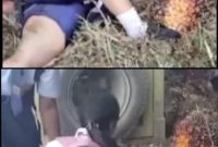 Suasana duka menyelimuti keluarga besar SMP Negeri 4 Negeri Lama, Kecamatan Bilah Hilir, Kabupaten Labuhan batu, Sumatera Utara (Dok-Poto)