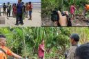 Warga desa lumut maju, kecamatan lumut, dan sekitarnya digegerkan dengan penemuan mayat seorang pria yang telah meninggal dunia tergeletak di atas pasir muara (Dok-Poto)