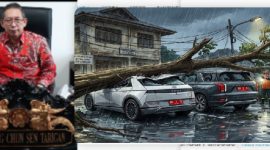 Illustrasi, Tiga Kendaraan Saat Pohon Tumbang di Kediaman Ketua DPRD Medan (Dok-Foto)
