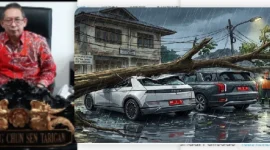 Illustrasi, Tiga Kendaraan Saat Pohon Tumbang di Kediaman Ketua DPRD Medan (Dok-Foto)