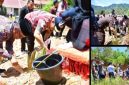 Dalam rangka memperingati Hari Jadi ke-81 Kabupaten Tapanuli Tengah (Dok-Poto)