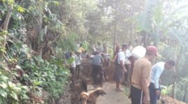Gerak Cepat Kades Yudi Guntara Bersama Warga Tangani Kerusakan Irigasi di Kampung Kaladi.(Dok-Foto)