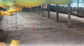 Mediasi Kandang Ayam di Nagrak Capai Kesepahaman, Pemilik Siap Patuhi Keputusan Pemerintah.(Dok - Foto)