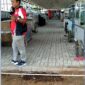 Anggaran Rp4,67 Miliar Lapang Sekarwangi Cibadak Disorot, Paving Bekas Picu Pertanyaan Publik.(Dok - Foto)