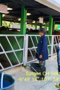 Satgas Citarum Harum Sektor 8 Subsektor Lembang Laksanakan Pendataan Hewan Ternak Sapi 