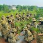 Edukasi mengenai ketahanan pangan, ( Dok - Foto )