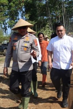 Dukung Program Swasembada Pangan, Kapolda Jabar Tinjau Lahan Budidaya Bawang Putih di Darma Kuningan