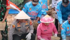 Kapolres Cimahi dalam penanaman bawang putih, ( Dok - Foto)