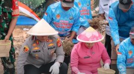 Kapolres Cimahi dalam penanaman bawang putih, ( Dok - Foto)