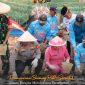 Kapolres Cimahi dalam penanaman bawang putih, ( Dok - Foto)