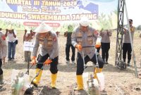 Polda Jawa Barat (Jabar) mengolah Lahan Baku Sawah (LBS) seluas 165,53 Ha menjadi pertanian jagung di musim kemarau. Salah satunya di Desa Mekarwaru, Kecamatan Gantar, Kabupaten Indramayu, Jawa Barat,( Dok - Foto )