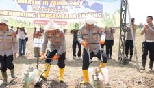 Polda Jawa Barat (Jabar) mengolah Lahan Baku Sawah (LBS) seluas 165,53 Ha menjadi pertanian jagung di musim kemarau. Salah satunya di Desa Mekarwaru, Kecamatan Gantar, Kabupaten Indramayu, Jawa Barat,( Dok - Foto )