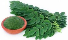 Moringa: Si Daun Ajaib Penuh Khasiat untuk Kesehatan