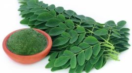 Daun kelor memiliki bentuk kecil-kecil, lonjong, dan tersusun rapi seperti bulu ayam, dengan warna hijau yang segar. Selain daunnya, pohon kelor juga memiliki bunga berwarna putih dan buah berbentuk panjang seperti tongkat, yang sering disebut 