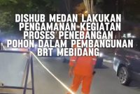 Dishub Kota Medan melakukan penebangan ribuan pohon demi proyek BRT (Dok-Foto)