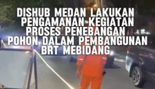 Dishub Kota Medan melakukan penebangan ribuan pohon demi proyek BRT (Dok-Foto)