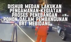 “Illegal Logging” Dalam Kota, Di Duga Tak Miliki Dokumen AMDAL dan ANDAL Lalin, Rico Waas Tak Peduli Lingkungan, Korbankan Ribuan Pohon Demi Proyek BRT