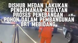 Dishub Kota Medan melakukan penebangan ribuan pohon demi proyek BRT (Dok-Foto)